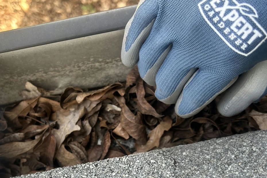 Gutter Cleaning Carmel IN