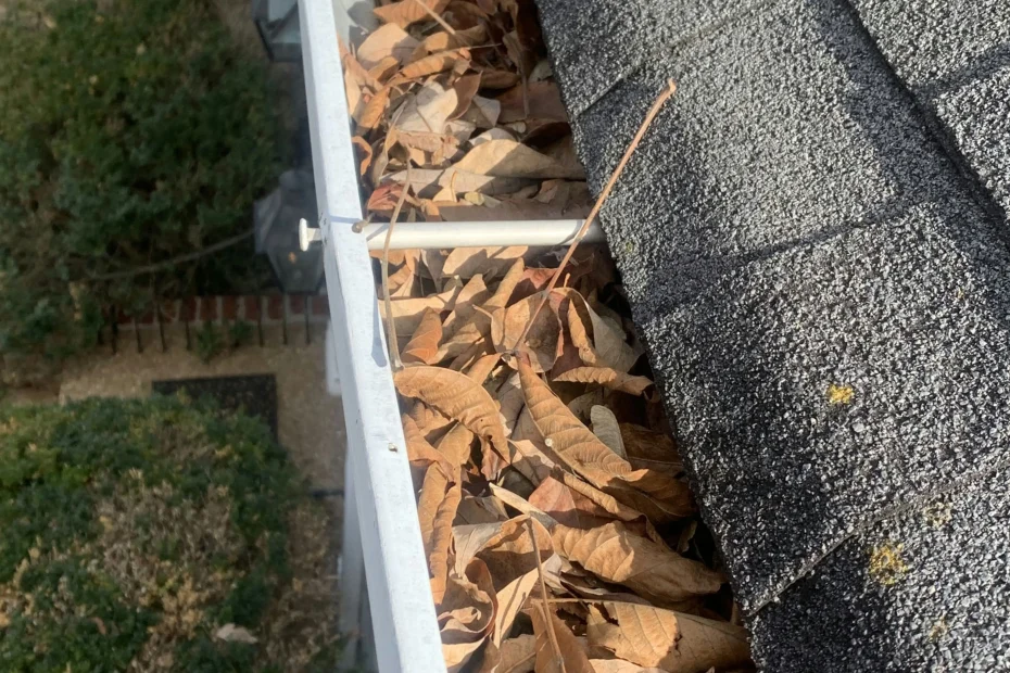 Gutter Cleaning Carmel IN