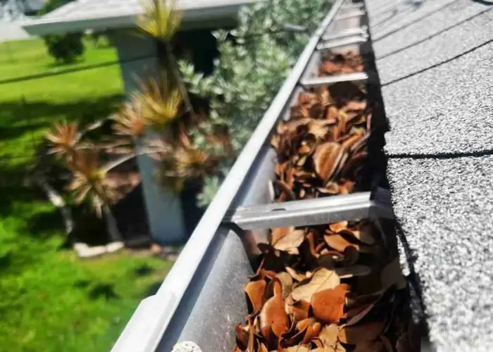 Gutter Cleaning Carmel IN home page